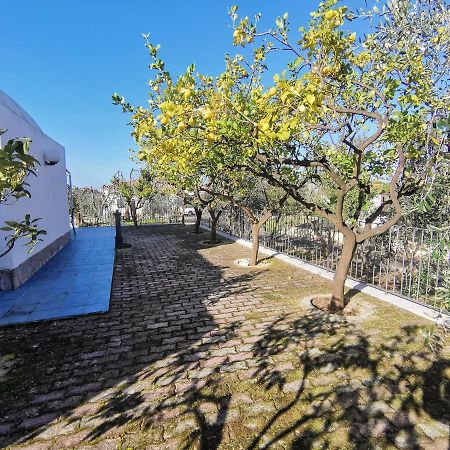 Tenuta Solleone Peschici Exteriör bild