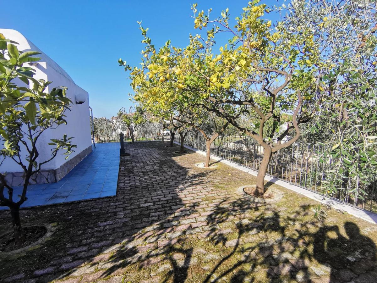 Tenuta Solleone Peschici Exteriör bild