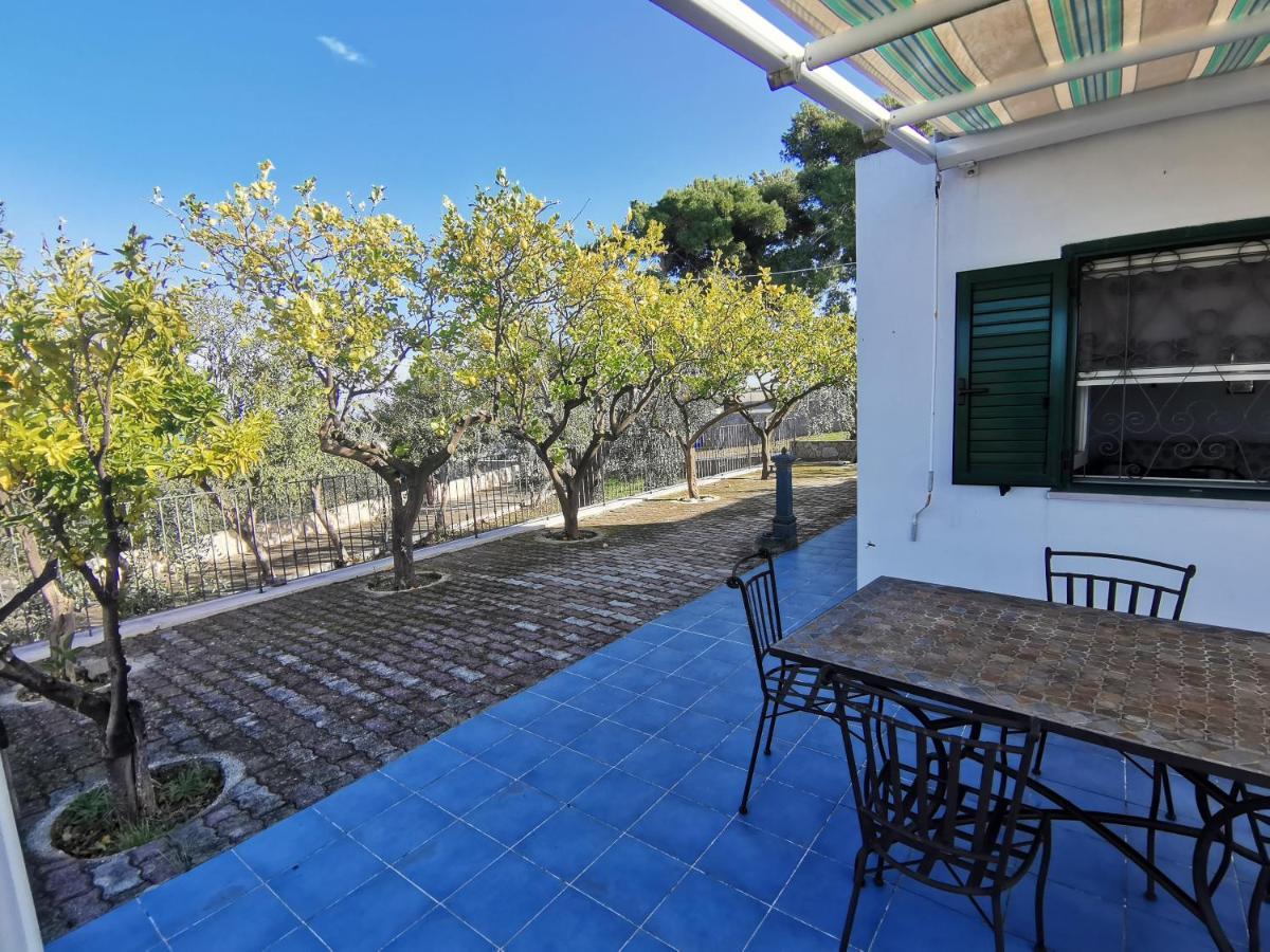 Tenuta Solleone Peschici Exteriör bild