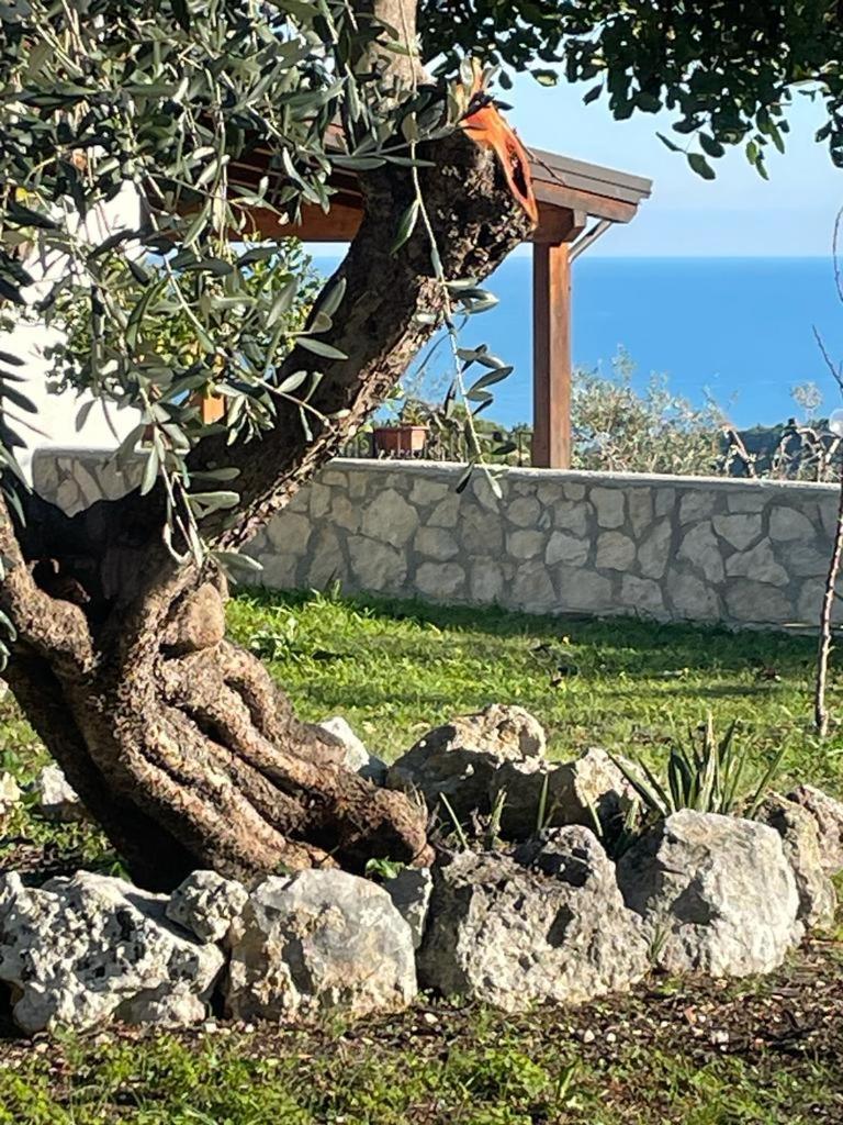 Tenuta Solleone Peschici Exteriör bild